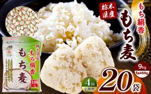 【定期便4回】栃木県産もち麦 9kg(450g×20袋)| もち麦 麦 むぎ 栃木県産 もち 大麦 食物繊維 β-グルカン 糖質 ダイエット 腸内環境 栃木県 真岡市 送料無料