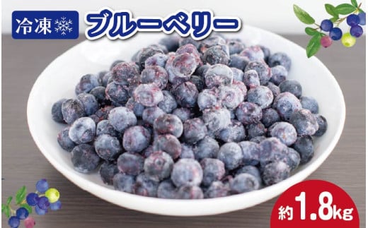 冷凍 ブルーベリー 約1.8kg フルーツ 国産 果物 大粒 甘い 糖度 ジャム ジュース ケーキ ゼリー スムージー ヨーグルト 洋菓子 お菓子 焼菓子 おやつ デザート スイーツ ポリフェノール アントシアニン 美容 健康 ギフト 贈答 プレゼント お取り寄せ グルメ 送料無料 徳島県 阿波市 AWABlueberryファーム 1575600 - 徳島県阿波市