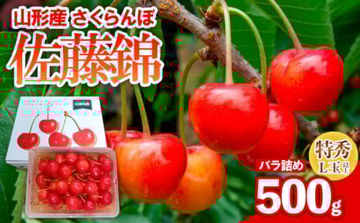 さくらんぼ 佐藤錦 500gパック バラ詰め 特秀 L玉以上 FY25-121
