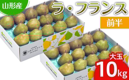 山形のラ・フランス大玉 10kg(20～28玉) 前半 FY25-111