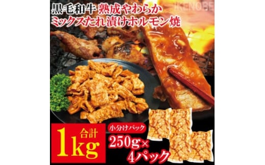 黒毛和牛熟成やわらかミックスたれ漬けホルモン焼 直営焼肉店の味1kg[250g×4P] 牛肉 黒毛和牛 和牛 ホルモン ミックス 熟成 たれ漬け タレ 味付け肉 焼肉 小分け 惣菜 おかず 弁当 冷凍 【そうざい男しゃく（株式会社池延）】 【ho1491】 2102798 - 茨城県常陸大宮市