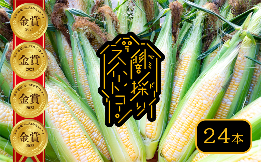 【2025年6月中旬~7月上旬発送】 peakfarm直送 『 闇採りⓇスイートコーン 』 (24本入り) 344185 - 愛媛県西条市