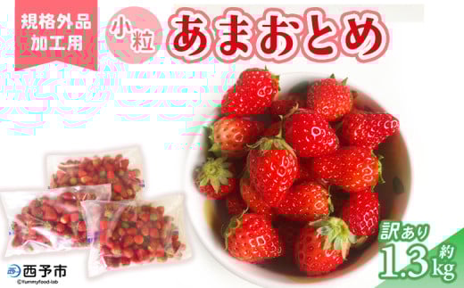 ＜訳あり いちご あまおとめ 約1.3kg 小粒 加工用 冷蔵 規格外品＞ 国産 サイズ 小粒 詰め合わせ アマオトメ 訳あり 訳アリ フルーツ 果物 苺 いちご イチゴ シャーベット スムージー りの果樹園 愛媛県 西予市【冷蔵】