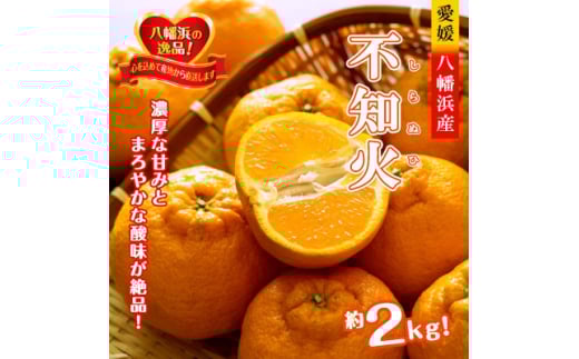 2026年2月～順次出荷　甘さと酸味の絶妙なバランス!はじける果肉「不知火」約2キロ＜B39-75＞【1620481】