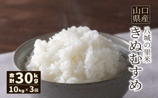 【先行予約】【定期便 3ヶ月】きぬむすめ 精米 10kg  合計30kg 令和7年度米 1139042 - 山口県下関市