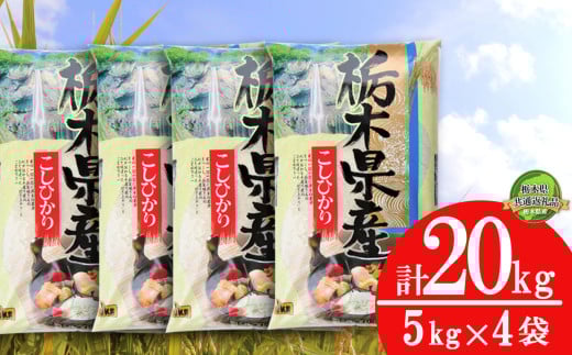 【栃木県共通返礼品】【数量限定】栃木県産こしひかり 20kg（5kg×4袋）| 栃木県共通返礼品 こしひかり 白米 精米 お米 ブランド米 栃木県 特産品 下野市 送料無料