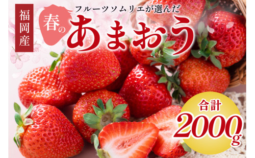 フルーツソムリエが選んだ福岡産【春】あまおう8パック【011-0074】