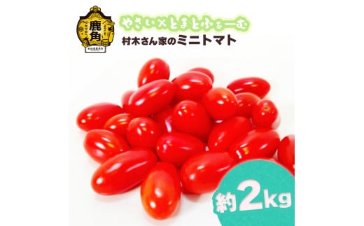 [ 先行予約 ]村木さん家の ミニトマト2kg[やさい×とまとふぁーむ]●2025年7月下旬発送開始 トマト 野菜 新鮮 旬 県産 国産 お中元 お歳暮 母の日 父の日 グルメ ギフト 故郷 秋田 あきた 鹿角市 鹿角 送料無料