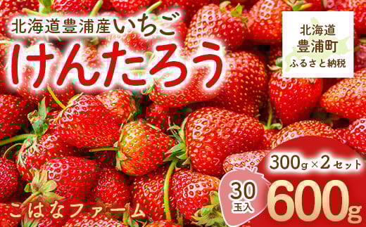 【2025年5月順次発送】北海道産 豊浦いちご けんたろう 30玉入り 300ｇ×2セット 【 ふるさと納税 人気 おすすめ ランキング 果物 いちご苺 イチゴ 国産いちご 国産苺 けんたろう セット おいしい 美味しい 北海道 豊浦町 送料無料 】 TYUAG001
