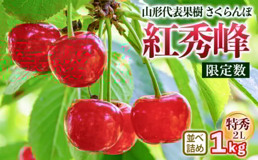 山形代表果樹 紅秀峰(benishuho) 特秀 2L 並べ詰め 1kg 【限定数】 FY25-117