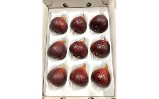 皮がおいしい栽培期間中農薬不使用の完熟いちじく　約1kg　愛知県安城産【1619339】