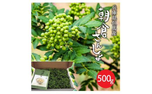 朝倉さんしょ　500g【1616570】