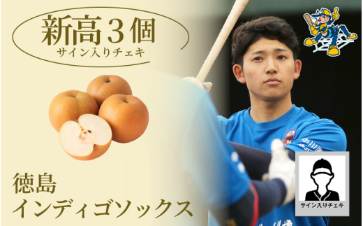 [新高3玉 選手サイン入りチェキ] 先行予約 徳島 インディゴソックス コラボ 梨 グッズ セット [2025年9月下旬〜順次発送] 果物 フルーツ 野球 四国アイランドリーグ 阿波市