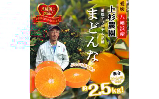 こんな柑橘はじめて!!上杉農園のぷるぷる新食感!!「まどんな」約2.5kg＜D39-67＞【1619931】
