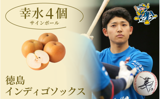 【幸水4玉 サインボール】 先行予約 徳島 インディゴソックス コラボ 梨 グッズ セット 《2025年8月下旬～順次発送》 果物 フルーツ 野球 四国アイランドリーグ 阿波市 1338520 - 徳島県阿波市