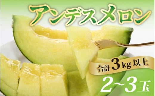 【福井市三里浜砂丘地産】立体栽培の甘味凝縮アンデスメロン「2025年6月中旬より順次発送」 [A-180001]　/ メロン アンデス めろん フルーツ 果肉 スイーツ 旬 福井 ふくい
