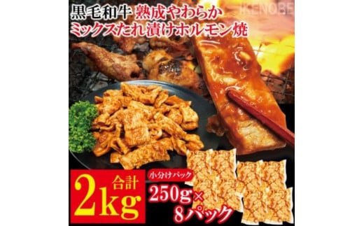 黒毛和牛熟成やわらかミックスたれ漬けホルモン焼 直営焼肉店の味2kg[250g×8P] 牛肉 黒毛和牛 和牛 ホルモン ミックス 熟成 たれ漬け タレ 味付け肉 焼肉 小分け 惣菜 おかず 弁当 冷凍 【そうざい男しゃく（株式会社池延）】 【ho1492】 2102799 - 茨城県常陸大宮市