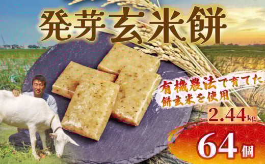餅 発芽 玄米 64個 2.44kg 個包装 国産 おもち 備蓄 防災 お中元 小分け レンジ オーブン 簡単調理 有機 不耕起栽培 健康 食品 発芽玄米餅 埼玉県 羽生市 雨読晴耕村舎