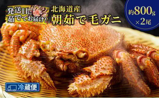 ［冷蔵便］茹でたて直送！北海道産 朝茹で毛ガニ 約800g×2尾【 かに カニ 蟹 幕別町 北海道 毛蟹 毛ガニ 海鮮 魚介 海の幸 海産物 冷蔵 】 [№5749-1582]