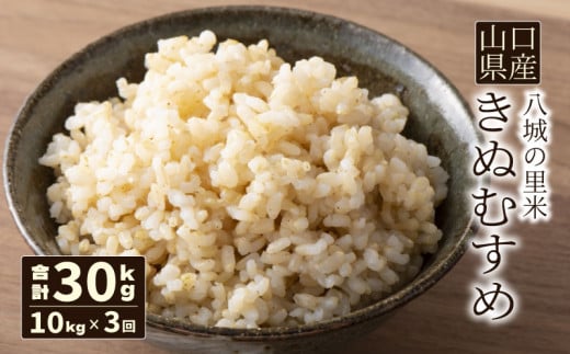 【先行予約】【定期便 3ヶ月】きぬむすめ 玄米 10kg  合計30kg 令和7年度米 1497571 - 山口県下関市