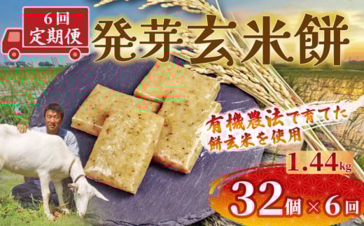 定期便 6回 発芽 玄米 餅 32個 1.44kg 個包装 連続 お届け おもち 国産 備蓄 防災 レンジ オーブン 簡単調理 有機 不耕起栽培 健康 食品 埼玉県 羽生市 雨読晴耕村舎