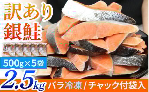 【訳あり品】塩銀鮭 切身 2.5kg(500g×5パック) | 冷凍鮭 鮭切り身 塩シャケ 塩鮭 甘口 甘塩 サケ 1426631 - 滋賀県大津市
