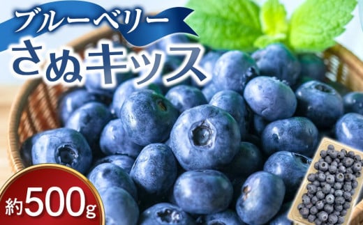 ブルーベリー さぬキッス 約500g 2103208 - 香川県さぬき市