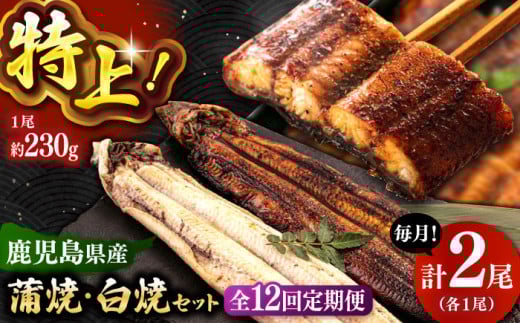 全12回定期便 鹿児島産うなぎ2尾　蒲焼・白焼セット ▼うなぎ蒲焼 ウナギ 鰻 蒲焼 白焼 有頭  桂川町/山水商事 [ADAH020] 1394309 - 福岡県桂川町