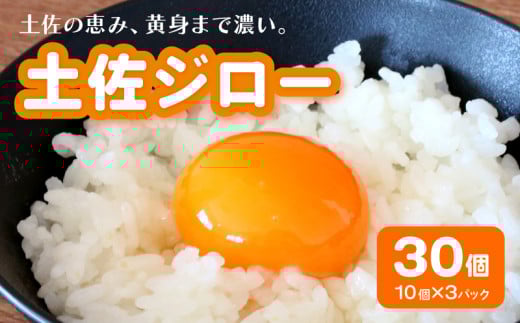 土佐ジローの卵 30個入り (10個×3パック)【たまご 卵 タマゴ 鶏卵 たまごかけごはん TKG オムレツ 卵かけご飯 たまご焼き おいしい 人気 おすすめ  高知県 南国市】