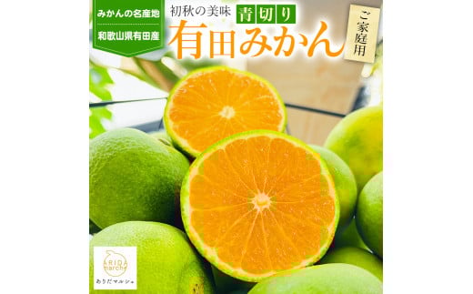 [先行予約]ご家庭用 青切り有田みかん10kg [2025年9月中旬より発送][訳あり][和歌山県産][MS19]