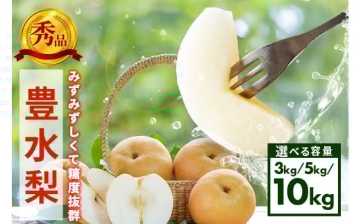 [先行販売/9月上旬から発送]アカツファーム 豊水 梨 秀 3kg (5〜8個) 5kg (8〜14個) 10kg (16〜28個) ナシ なし 豊水梨 ギフト 贈答用 秀品 産地 茨城 笠間 完熟 甘い 秋 旬 果物 フルーツ 果汁 新鮮 デザート くだもの ジューシー 秋の味覚 旬の果物 産地直送 茨城県 笠間市