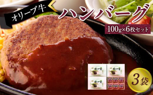 オリーブ牛 ハンバーグ3袋(100g×6枚)セット 2039075 - 香川県坂出市