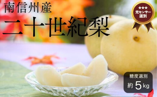 JA07-25A 梨 二十世紀 約5kg/2025年9月上旬~9月下旬ごろ配送 // 糖度センサー選別 厳選 南信州 長野県 和梨 なし ナシ 新鮮 厳選 贈答