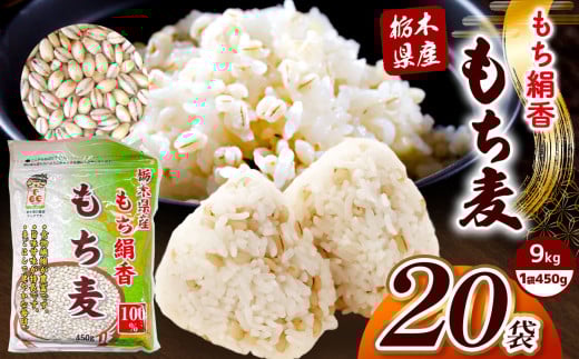 栃木県産もち麦 9kg(450g×20袋) | もち麦 麦 むぎ 栃木県産 もち 大麦 食物繊維 β-グルカン 糖質 ダイエット 腸内環境 栃木県 真岡市 送料無料