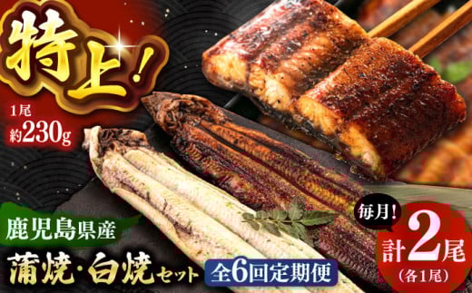 全6回定期便 鹿児島産うなぎ2尾　蒲焼・白焼セット ▼うなぎ蒲焼 ウナギ 鰻 蒲焼 白焼 有頭  桂川町/山水商事 [ADAH019] 1394308 - 福岡県桂川町