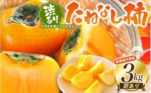 【訳あり・ご家庭用】たねなし柿「渋あり」訳あり 約3kg【9月下旬～11月上旬頃順次発送】