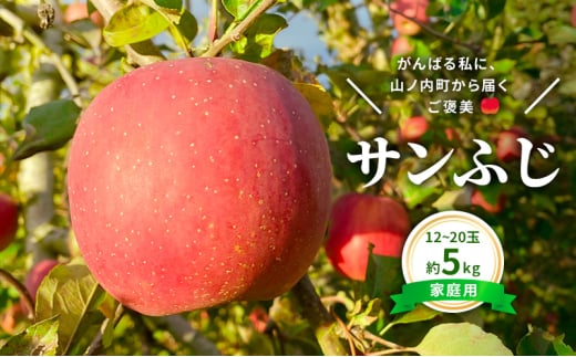 今日を癒すひと玉 私のサンふじ　サンふじ　家庭用　5kg りんご 果物