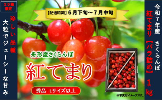 紅てまり1kg　バラ詰め　Lサイズ以上　令和7年産