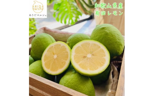 【先行予約】【国産】農家直送！ 有田レモン 3kg ※沖縄・離島への配送不可 ※2025年9月下旬～2026年2月下旬に順次発送予定