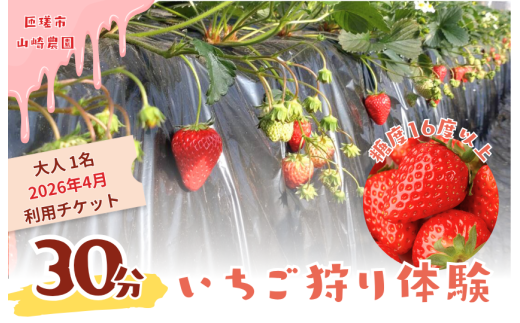 山崎農園いちご狩り　1名分チケット（2026年4月実施分） ／ いちご 苺 イチゴ ストロベリー いちご狩り イチゴ狩り 苺狩り フルーツ狩り 体験 チケット とちおとめ 紅ほっぺ 果物 フルーツ