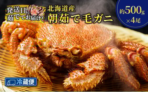 ［冷蔵便］茹でたて直送！北海道産 朝茹で毛ガニ 約500g×4尾【 かに カニ 蟹 幕別町 北海道 毛蟹 毛ガニ 海鮮 魚介 海の幸 海産物 冷蔵 】 [№5749-1580]