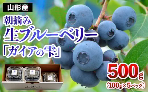 山形の朝摘み生ブルーベリー「ガイアの雫」500g(100g×5パック) FY25-109
