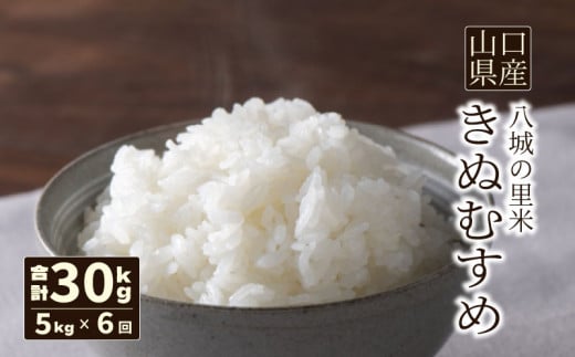 【先行予約】【定期便 6ヶ月】きぬむすめ 精米 5kg  計30kg 1139040 - 山口県下関市