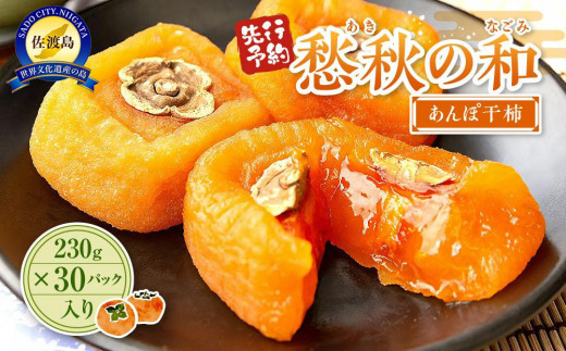 【先行予約】愁秋の和（あきのなごみ）あんぽ干柿　230g×30パック入り 977010 - 新潟県佐渡市