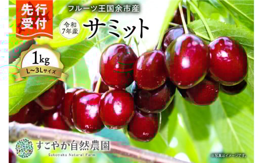 2025年発送【先行予約】令和7年産 サミット【L~3Lサイズ】1Kg【すこやか自然農園】 2103173 - 北海道余市町