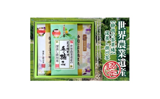 世界農業遺産 静岡の茶草場農法 深蒸し掛川茶(手摘み60g×1袋・掛川茶100g×2袋)ギフトセット【1620462】
