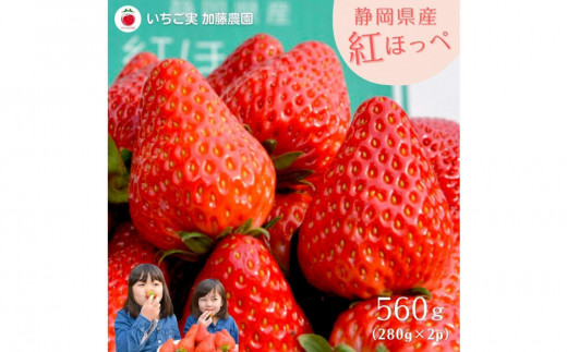 静岡県産いちご 紅ほっぺ 280g×2パック（1パック12～15粒） 冷蔵配送 苺 フルーツ