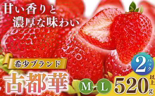 いちご 平群の古都華 M〜Lサイズ ２パック  扇田農園 | 果物 くだもの フルーツ 苺 イチゴ いちご ストロベリー 古都華 ことか 旬の品種  奈良県 平群町 1992958 - 奈良県平群町