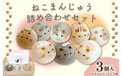 和菓子 上用まんじゅう ねこさん セット 選べる 容量 3個 冷凍便 和菓子 ギフト 贈り物 記念日 徳島県 吉野川市 2112403 - 徳島県吉野川市