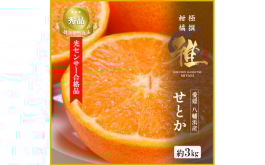極撰柑橘＜雅＞光センサー合格品・柑橘の大トロ「 せとか 」約3キロ＜D39-71＞【1620367】